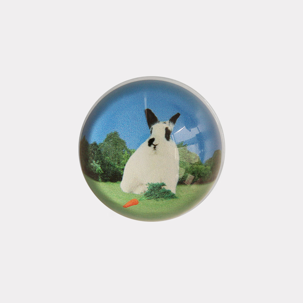 fluffy bunnies design [resin acrylic tok]
